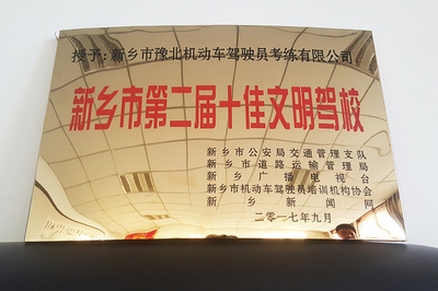 新乡电视台 “十佳” 奖牌